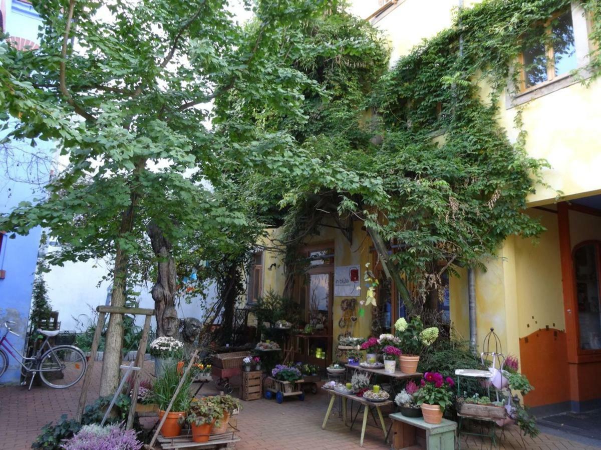 Appartement Kunsthofperle à Dresde Extérieur photo